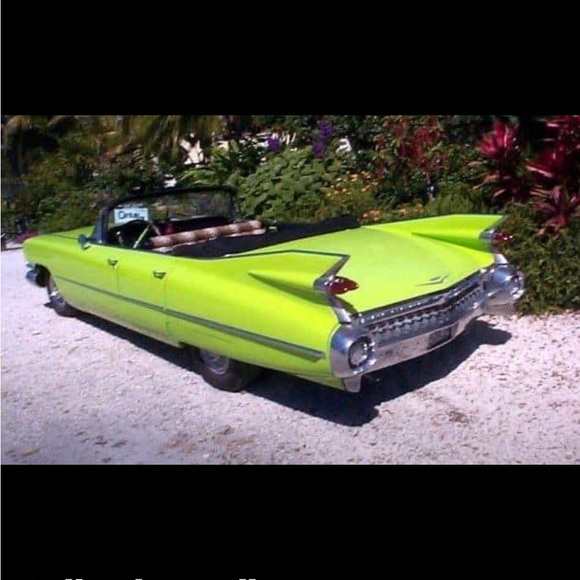 Meet your Posher, Sally - Picture 6 of 8